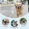BONTHEE Dog Muzzle,Anti-Bite Adjustable Breathable Soft Muzzle for Small Medium