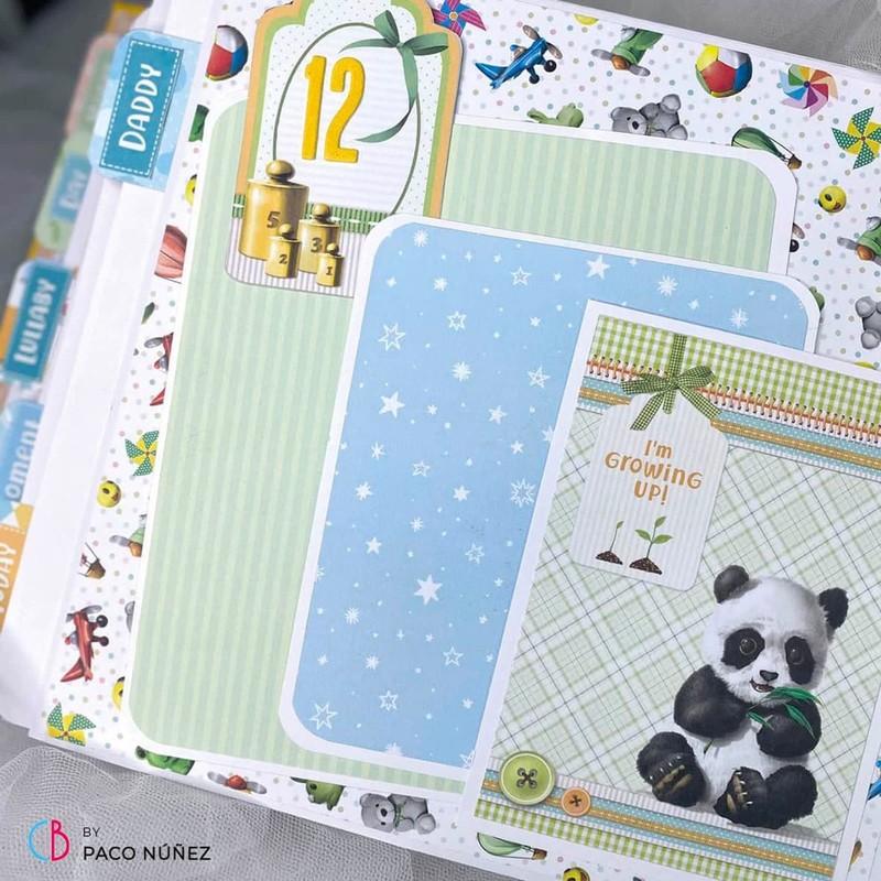 Ciao Bella CBQ042 Assorted Paper One Size