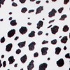 ILOVEFANCYDRESS ADULTS STANDARD SIZED DALMATIAN CAPE WITH PLUSHIE DOG