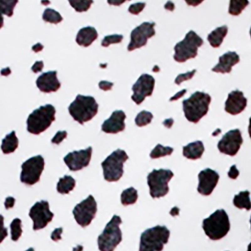 ILOVEFANCYDRESS ADULTS STANDARD SIZED DALMATIAN CAPE WITH PLUSHIE DOG