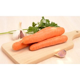 Root Vegetable Seeds Variety Pack – Carrot, Radish, Turnip & Parsnip – Non-GMO Heirloom Garden Seeds for Planting – Home Vegetable Garden Starter Kit – Easy to Grow, High Yield