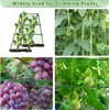7Queen Cucumber Trellis Garden Trellis Arch Trellis, Tall Metal Trellis