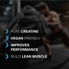 Creatine Monohydrate Powder - Creatine Powder - Pure Creatine -