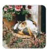 Legacy Cork Back Coaster-Cat Design-CALICO CATS-Create Your Own Set!