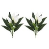 Spathiphyllum Artificial Plants with White Flowers, 2-Pack Green Leaves Artificial