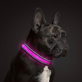 Glow Collar LED Dog Collar - Rechargeable USB Light Up Dog Collar - Waterproof, Multi-Mode Flashing Dog Collar (Large, Pink)