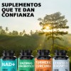 Mag Treonato Magnesio Plus Melena León Piperina Magnesium Threonate Complex