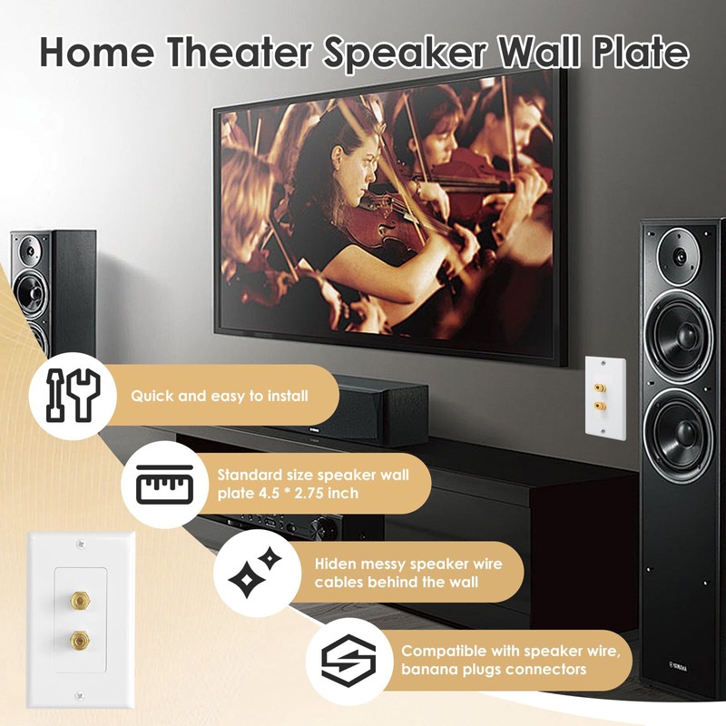 2 Pack 1.0 Speaker Wall Plates with Low Voltage Mounting