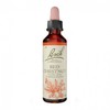 바흐 플라워 넘버 25 레드 체스넛 20ml Bach Flower Number 25 Red Chestnut 20ml