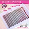 Natural Lash Clusters Wispy Cluster Eyelash Extensions DIY Individual Lashes