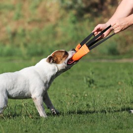 Bungee Dog Bite Tug Toy with 2 Strong Handles - Made of Durable & Tear-Resistant Fire Hose - Perfect for Tug of War, Fetch & Puppy K9 Training - Ideal Pull Toy for Medium to Large Dogs, Orange