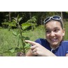 Health Embassy Stinging Nettle Leaf | Urtica Dioica L |