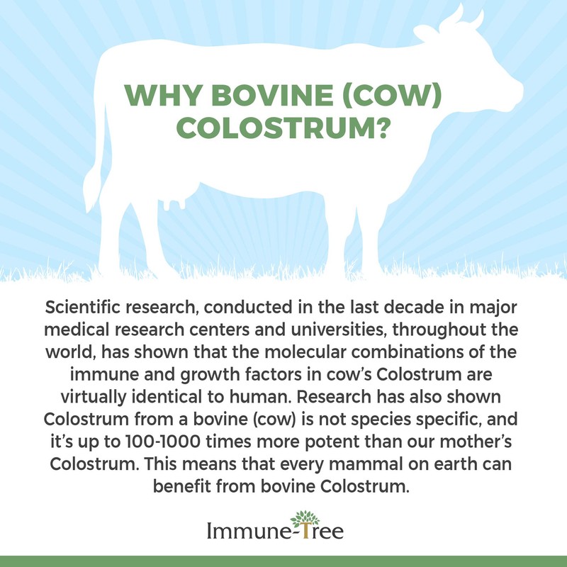 Immune-Tree 100% Bovine Colostrum Powder, 120 Servings, 6.5oz, Supports Anti-Aging,