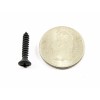 SFS Ford Truck Interior Trim Screws- #6 x 3/4" Long-
