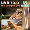 REPTI HOME T5 UVB Reptile Light 24W 10.0,UVA UVB Light