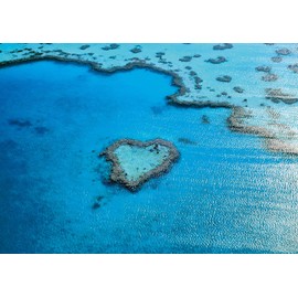 Epoch Company 108 Piece Jigsaw Puzzle Great Barrier Leaf [Australia] 7.2 x 10.1 inches (18.2 x 25.7 cm)