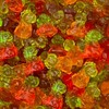 Gummy Candy 3D Dinos |1-Pound Pack| Assorted Fruit Flavors