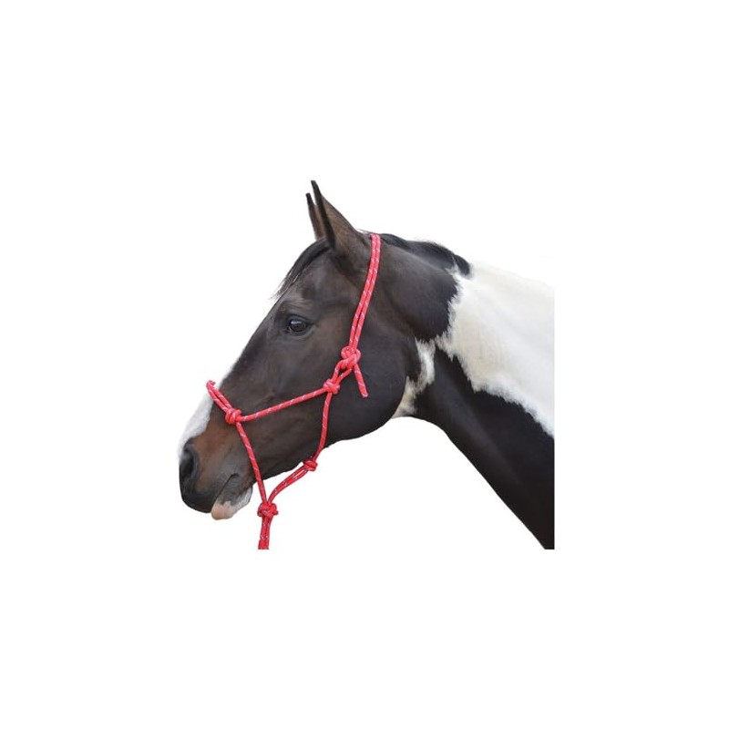 Hi-Viz Reflective Rope Headcollar with Lead Rope Se Fully Adjustable