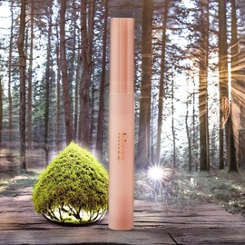Hince Lip Makeup Natural Smooth Slim Stick Melting Matte Lipstick 1 Piece Momentary 1.6g / 힌스 립메이크업 자연유래 스무스 슬림 스틱 멜팅 매트 립스틱 1개 모멘터리 1.6g