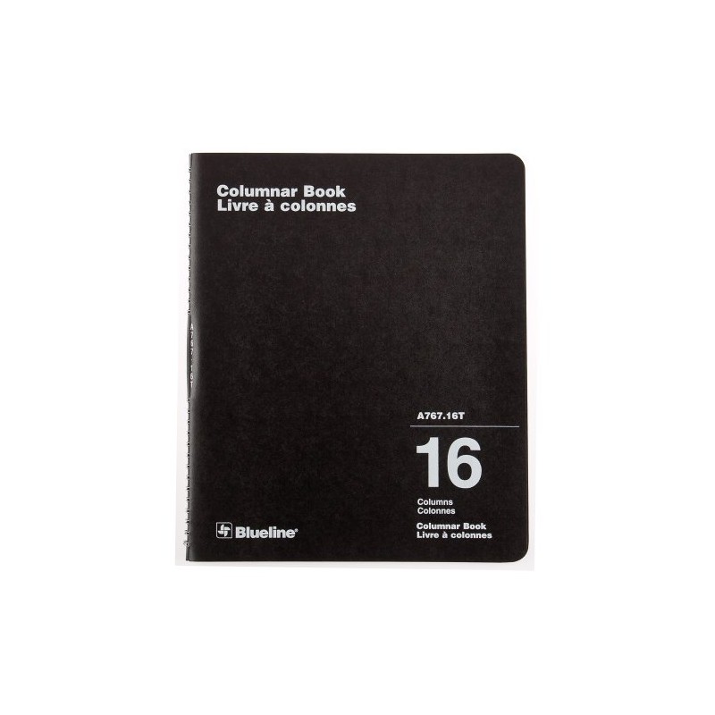 Blueline Columnar Book, Twin-Wire Binding, 16 Columns with Description, 80