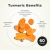 LifeSeasons Essentials Meriva Turmeric Suplemento Alimenticio Fitosoma de Curcumina 60
