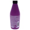 Redken Colour Extend Magnetics Conditioner