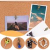 20 Pack Push Pin Hangers Push Pin Picture Hanger Hooks