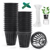 ORIMERC 2-Inch Net Pots for Hydroponics - 100 Pack with