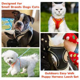 PETPUBGNZS Soft Small Dog Harness and Leash Set Step in Air Mesh Puppy Harness Leash Easy Walk Dog Harness Vest Adjustable Reflective No Pull Dog Harnesses for Small Dogs Cats (Black,L)