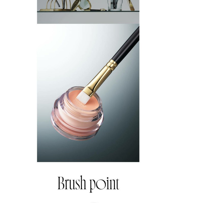 Picasso Signature Concealer Brush Blemish Cover Gel Eyeliner 1300 /