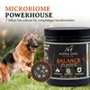 Alpha Dog Nutrition Balance Probiotic Blend for Dogs by Alpha