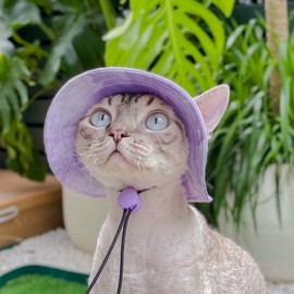 Pet hat with Ear Holes Sunscreen Baseball Cap Suitable for Small and Medium-Sized Dogs Outdoor Climbing hat in Summer Pet Products (Purple, Medium)