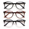 3 Pack Reading Glasses Spring Hinge Stylish Readers Black/Tortoise for