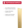 Gedotec Stair Profile Aluminium Step Edge Profile Aluminium Angle Profile