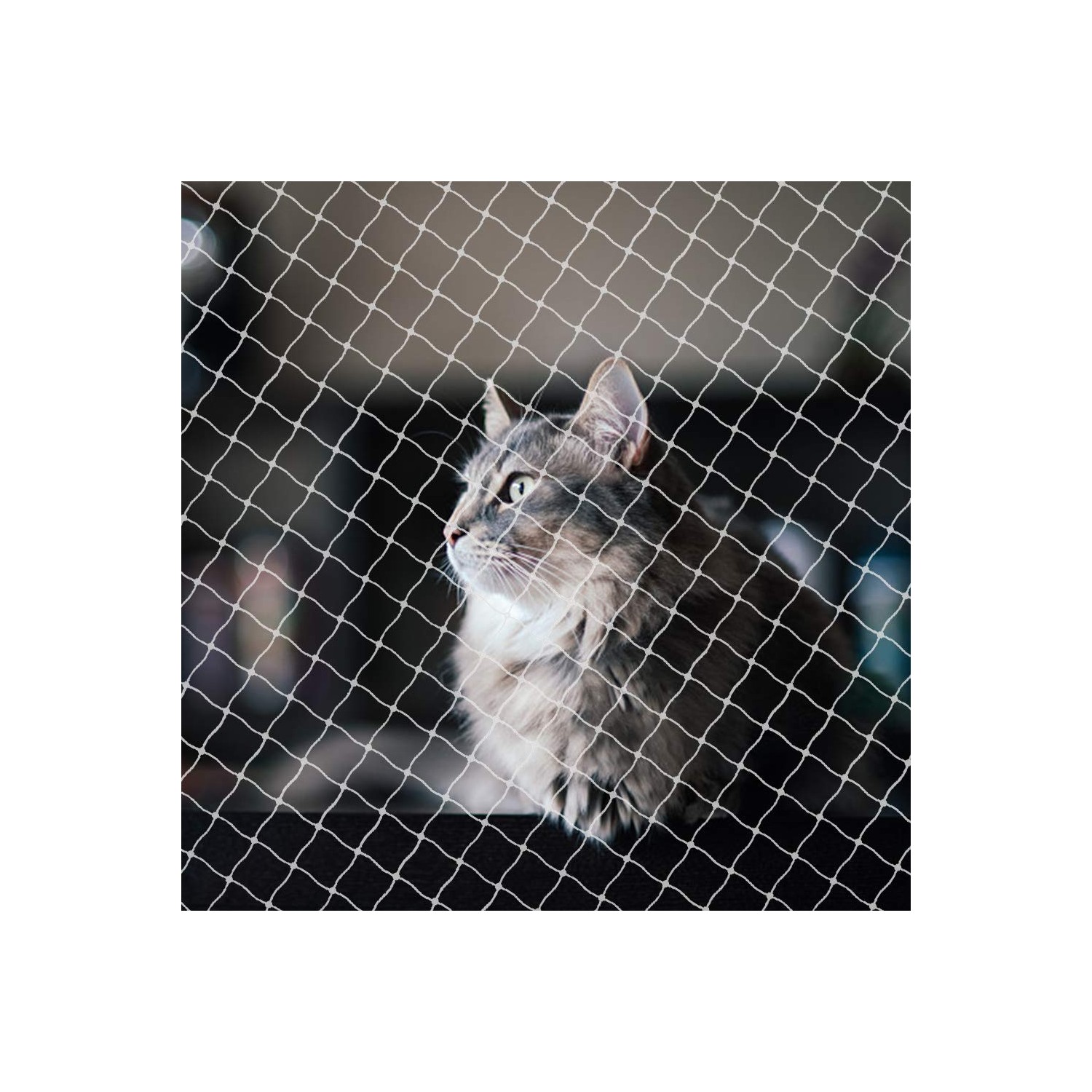 Netting for Balcony, Cat Netting Anti-Fall Mesh Fence, Anti Bird ...