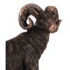 Wildlife Animal Taxidermy Bighorn Sheep Ram On Grassland Figurine With