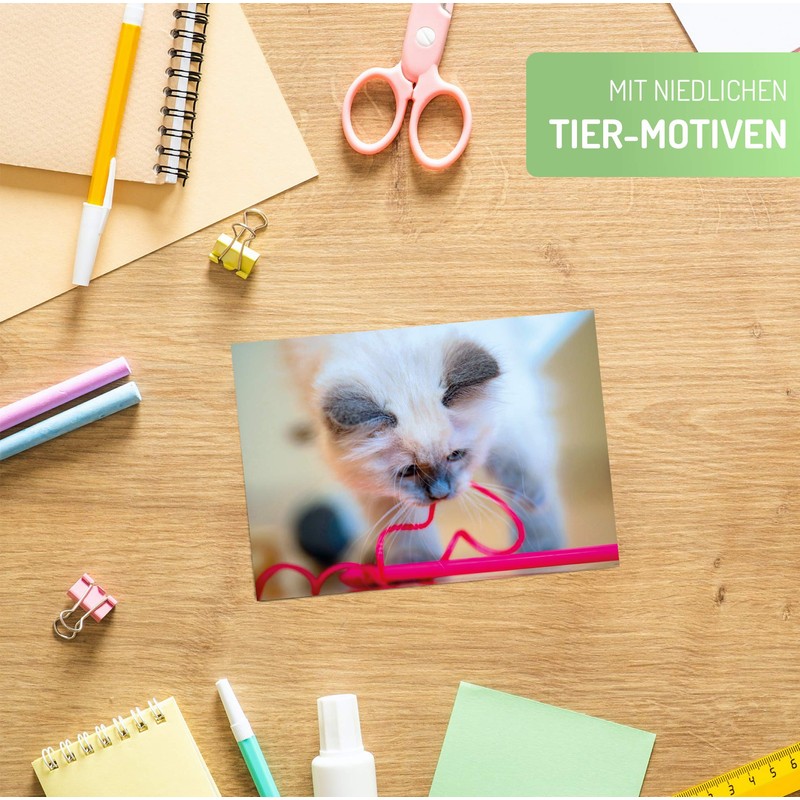 Clever Pool Postcards with Funny and Sweet Animals, for Postcrossing