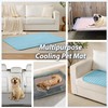 MICROCOSMOS Summer Cooling Mat & Sleeping Pad- Water Absorption Top,