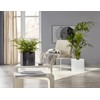 Scheurich Panna Ceramic Flower Pot Set of 2, 16 cm