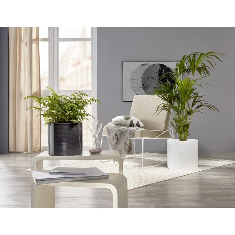 Scheurich Panna Ceramic Flower Pot Set of 2, 16 cm