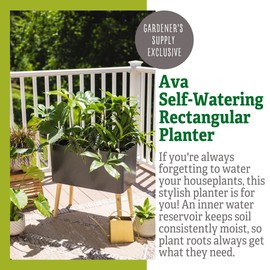 Gardener's Supply Company Ava Self-Watering Rectangular Planter | Contemporary Indoor Outdoor Two Separate Planting Containers Each with Water Level Indicators - Gray