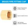 PATIKIL 1/4" NPT Female Brass Pipe Fitting Cap, 5Pcs Outer