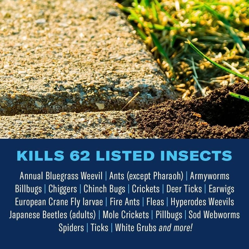 BioAdvanced Complete Liquid Concentrate Insect Killer For Soil & Turf
