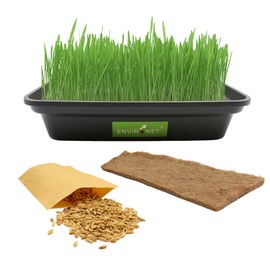 Environet Hydroponic Cat Grass for Indoor Cats | Organic Cat Grass Seeds Mix with Black Low-Top Planter | Pet Safe and Non-GMO | Natural Indoor Grass for Cats' Digestion Health