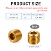 5 PCS 1/4" NPT Male Pipe Plug Fitting Set Brass