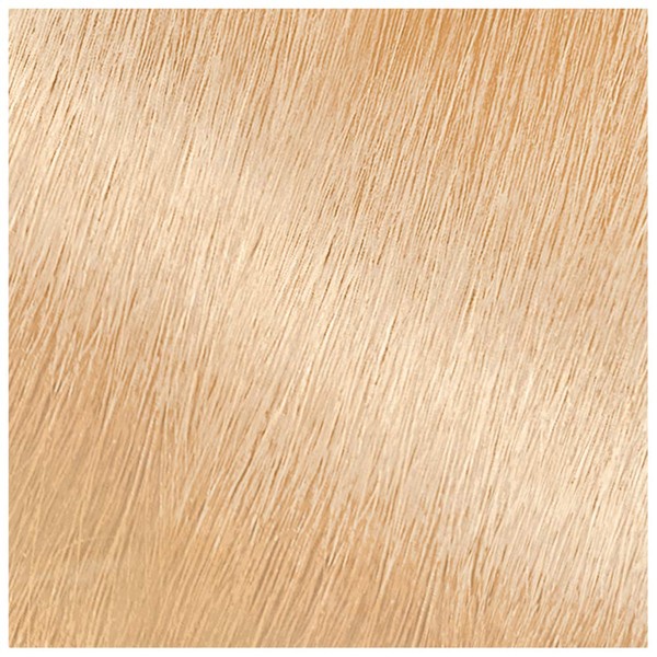 Garnier Nutrisse Ultra Color Nourishing Permanent Hair Color Cream, LB2 Ultra Light Natural Blonde (1 Kit) Blonde Hair Dye (Packaging May Vary), Pack of 1