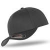 Flexfit Baseball Cap in Bundle with UD Skull Bandana in