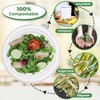 ECONX 10 Inch Disposable Sugarcane Bagasse Plates Large Round Paper