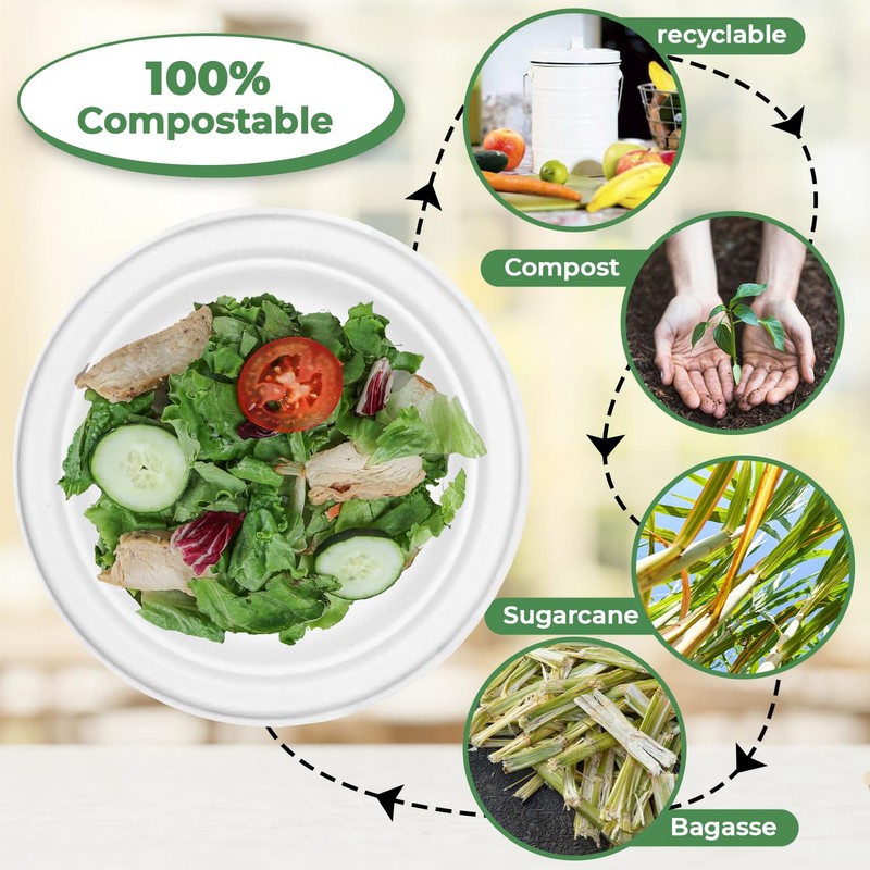 ECONX 10 Inch Disposable Sugarcane Bagasse Plates Large Round Paper