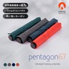 AMVEL A1555 Pentagon67 Folding Umbrella, World's Lightest Grade, 2.3 oz